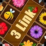 3 Link
