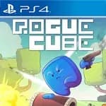 RogueCube