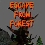 Escape From Forest