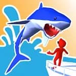 Shark Race
