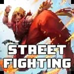 Street Fighting : Super Fighter