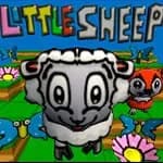 Little Sheep