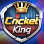 Cricket King™ - by Ludo King developer