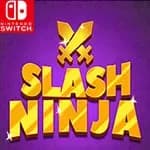 Slash Ninja