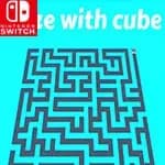 Maze with cube