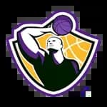 Astonishing Basketball 21