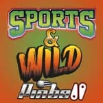 Sports & Wild Pinball