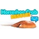 Horseshoe Crab Rescue!