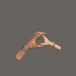 Hypotheses on the Symmetry between Vision and Hands