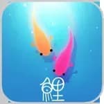 KOI - Journey of Purity