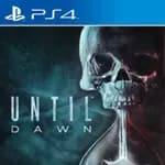 Until Dawn